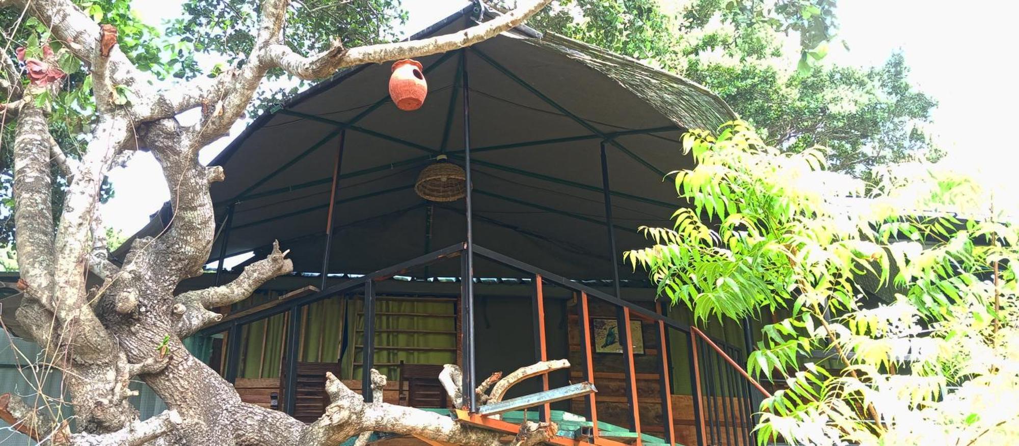 Jungle Cabin - Bundala Bundala Levagangoda Zewnętrze zdjęcie